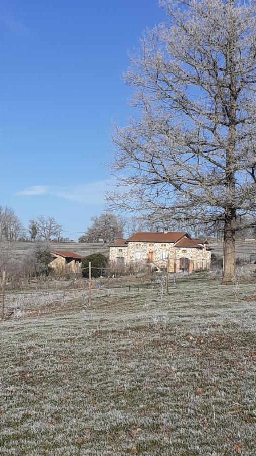 Légny Domaine De La Poyat B&B 외부 사진